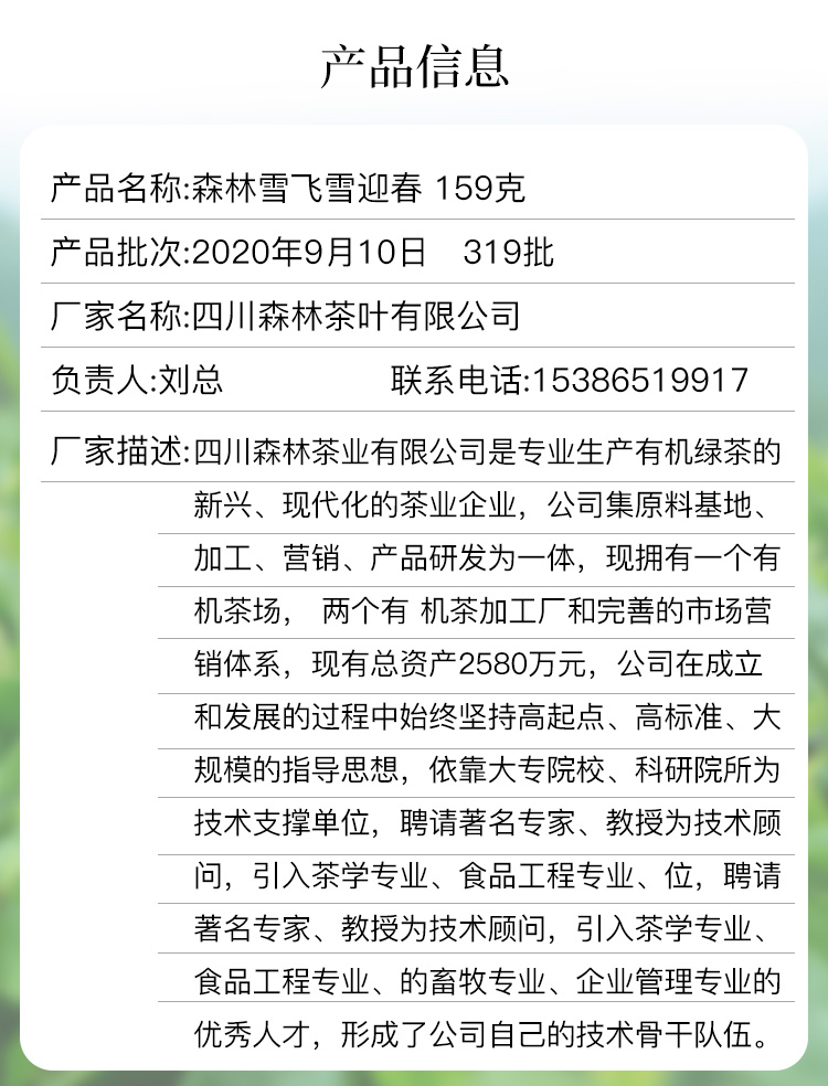 四川乐山马边特产2020新茶绿茶森林雪有机绿茶飞雪系列迎春礼盒